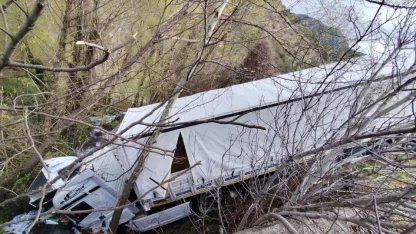 Tokat'ta büyükbaş hayvan taşıyan tır devrildi, 3 kişi yaralandı