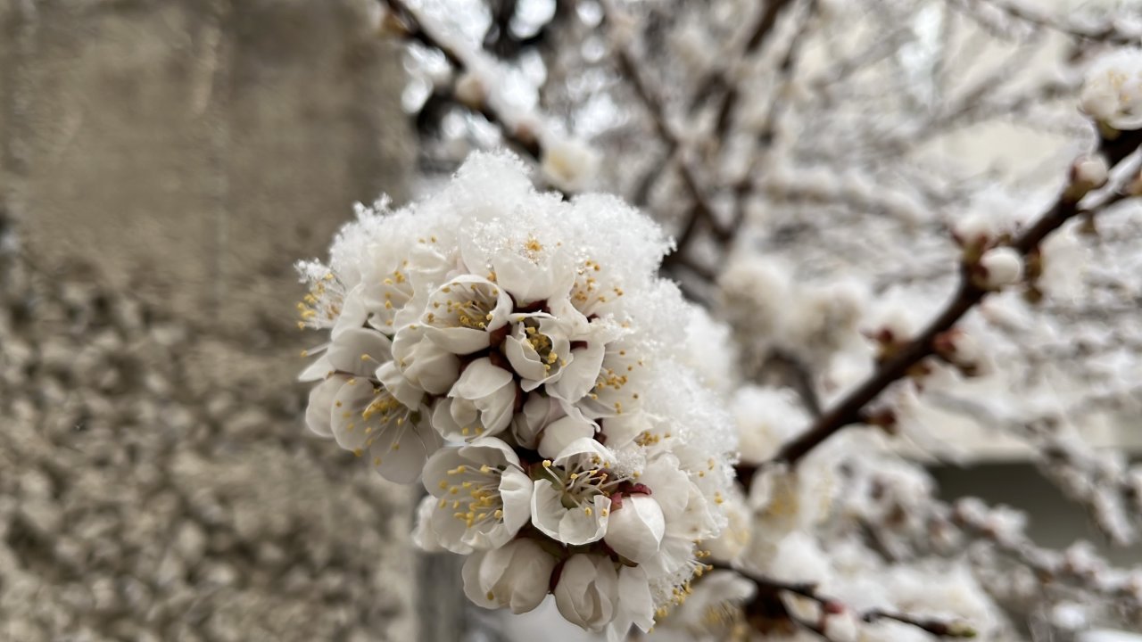 Yozgat'ta nisanda kar yağışı etkili oldu