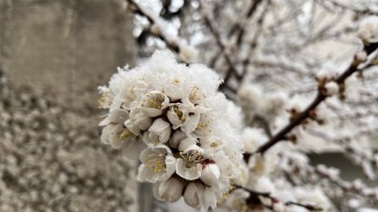 Yozgat'ta nisanda kar yağışı etkili oldu